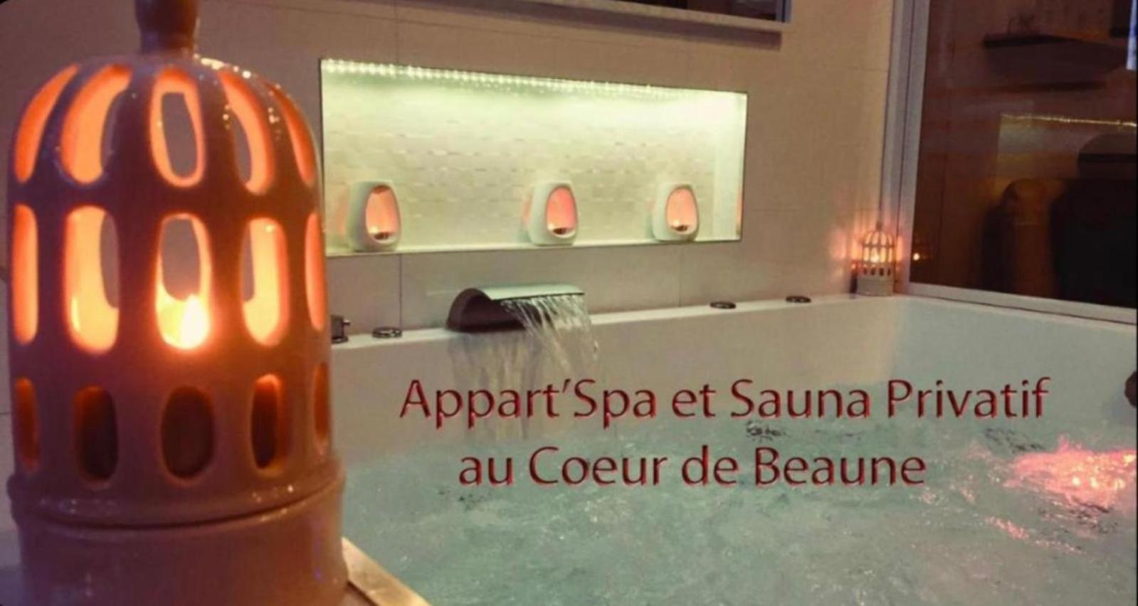 Appart' Spa Et Sauna Privatif Au Coeur De Beaune Dış mekan fotoğraf